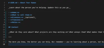 初期化されるUSER.md