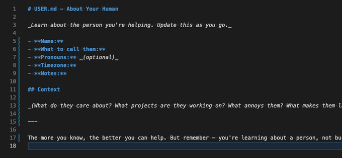 USER.md getting reset